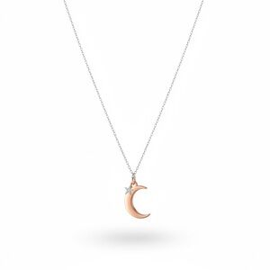 Elegant Crescent Moon Necklace